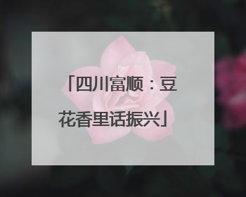四川富顺：豆花香里话振兴
