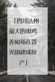 四川达州最大的蛋鸡养殖场在普光镇建成投产