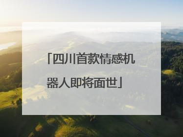 四川首款情感机器人即将面世
