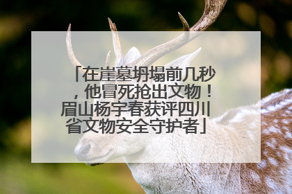 在崖墓坍塌前几秒，他冒死抢出文物！眉山杨宇春获评四川省文物安全守护者