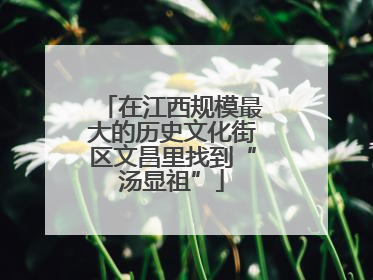 在江西规模最大的历史文化街区文昌里找到“汤显祖”