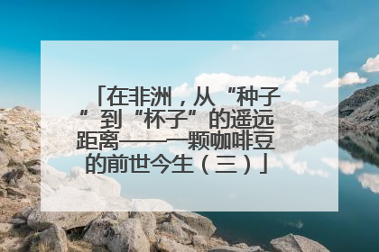 在非洲，从“种子”到“杯子”的遥远距离——一颗咖啡豆的前世今生（三）