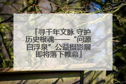 寻千年文脉 守护历史根魂——“问源白浮泉”公益摄影展即将落下帷幕