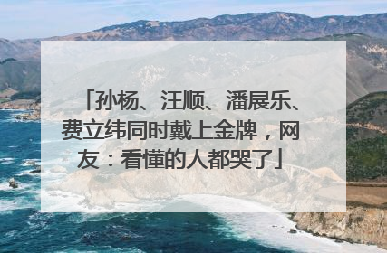 孙杨、汪顺、潘展乐、费立纬同时戴上金牌，网友：看懂的人都哭了