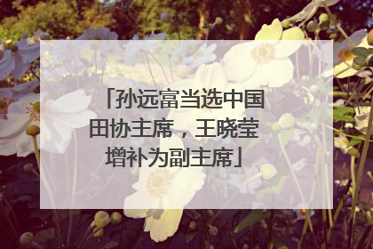 孙远富当选中国田协主席，王晓莹增补为副主席