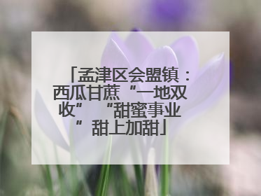 孟津区会盟镇：西瓜甘蔗“一地双收” “甜蜜事业”甜上加甜