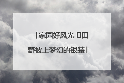 家园好风光 ⎮田野披上梦幻的银装