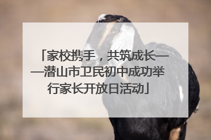 家校携手，共筑成长——潜山市卫民初中成功举行家长开放日活动