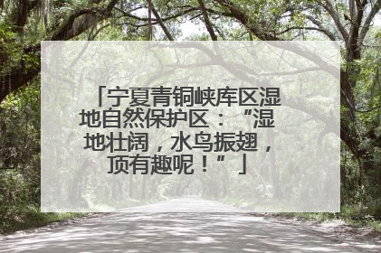 宁夏青铜峡库区湿地自然保护区：“湿地壮阔，水鸟振翅，顶有趣呢！”