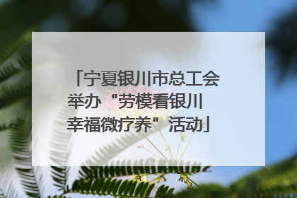 宁夏银川市总工会举办“劳模看银川 幸福微疗养”活动