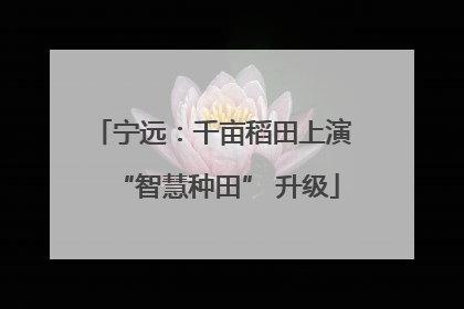 宁远：千亩稻田上演 “智慧种田” 升级