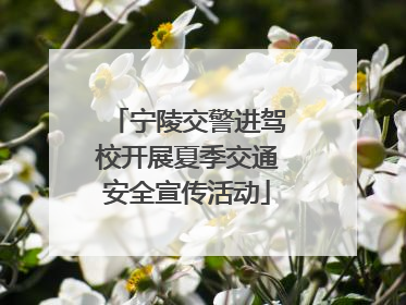 宁陵交警进驾校开展夏季交通安全宣传活动