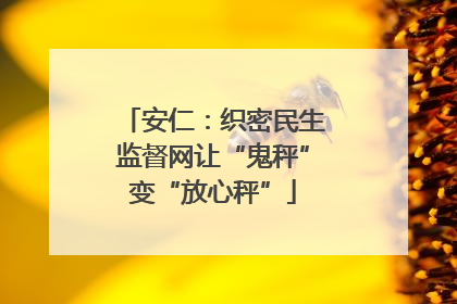 安仁：织密民生监督网让“鬼秤”变“放心秤”