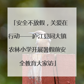 安全不放假，关爱在行动——庐江县同大镇农林小学开展暑假前安全教育大家访
