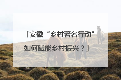 安徽“乡村著名行动”如何赋能乡村振兴？