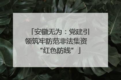 安徽无为：党建引领筑牢防范非法集资“红色防线”