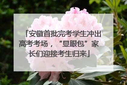 安徽首批完考学生冲出高考考场，“显眼包”家长们迎接考生归来