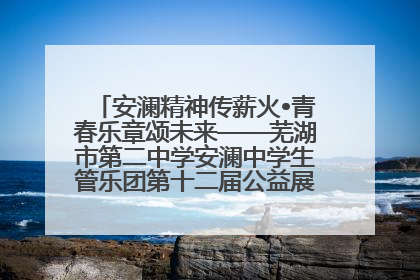安澜精神传薪火•青春乐章颂未来——芜湖市第二中学安澜中学生管乐团第十二届公益展演圆满举行