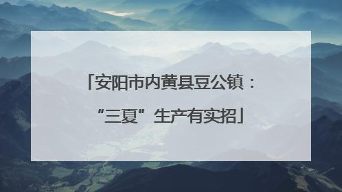 安阳市内黄县豆公镇：“三夏”生产有实招