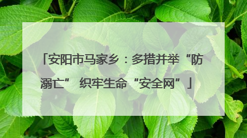 安阳市马家乡：多措并举“防溺亡” 织牢生命“安全网”