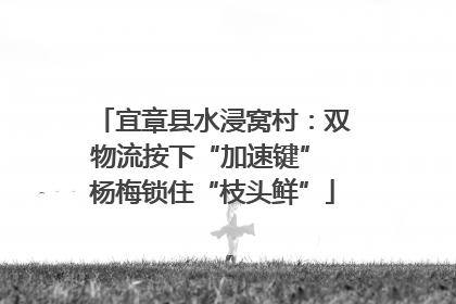 宜章县水浸窝村：双物流按下“加速键” 杨梅锁住“枝头鲜”