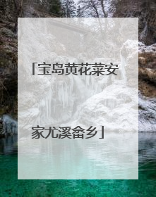 宝岛黄花菜安家尤溪畲乡