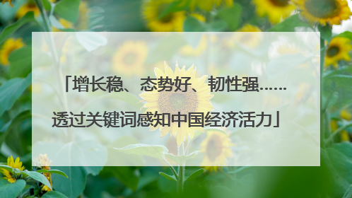 增长稳、态势好、韧性强……透过关键词感知中国经济活力