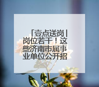 壹点送岗│岗位若干！这些济南市属事业单位公开招聘了