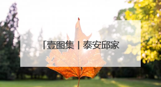 壹图集丨泰安邱家店镇收忙，收割机“穿梭”金色海洋