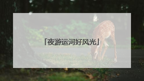 夜游运河好风光