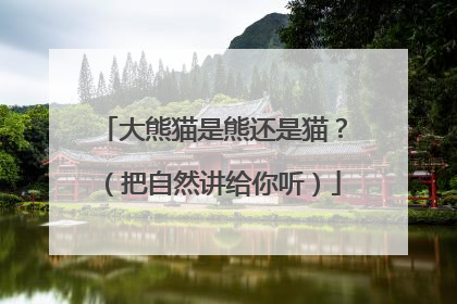 大熊猫是熊还是猫？（把自然讲给你听）