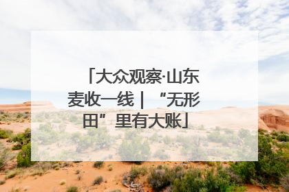 大众观察·山东麦收一线｜“无形田”里有大账