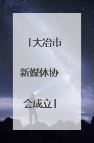大冶市新媒体协会成立