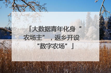 大数据青年化身“农场主”，返乡开设“数字农场”