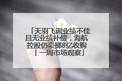 天羽飞训业绩不佳且无业绩补偿，海航控股仍豪掷8亿收购丨一周市场观察