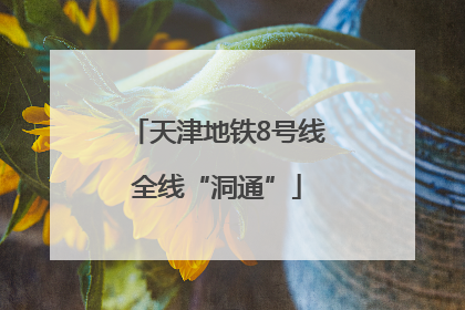 天津地铁8号线全线“洞通”