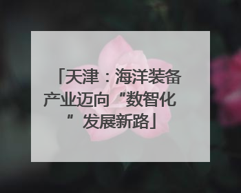 天津：海洋装备产业迈向“数智化”发展新路