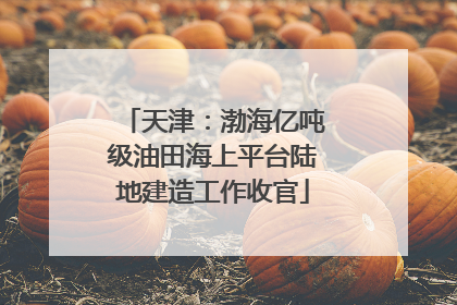 天津：渤海亿吨级油田海上平台陆地建造工作收官