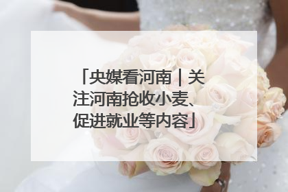 央媒看河南｜关注河南抢收小麦、促进就业等内容