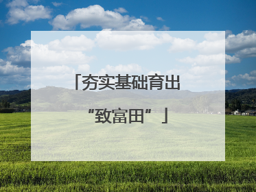 夯实基础育出“致富田”