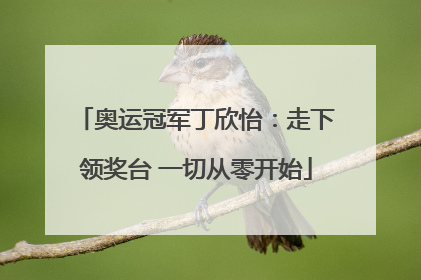 奥运冠军丁欣怡：走下领奖台 一切从零开始