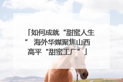 如何成就“甜蜜人生” 海外华媒聚焦山西高平“甜蜜工厂”