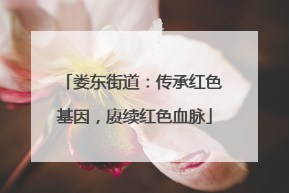 娄东街道：传承红色基因，赓续红色血脉