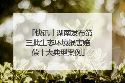 快讯丨湖南发布第三批生态环境损害赔偿十大典型案例