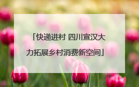 快递进村 四川宣汉大力拓展乡村消费新空间
