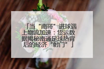 当“南哥”进球遇上物流加速：货运数据揭秘南通足球热背后的经济“射门”