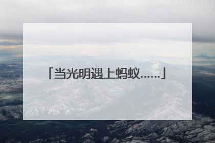 当光明遇上蚂蚁……