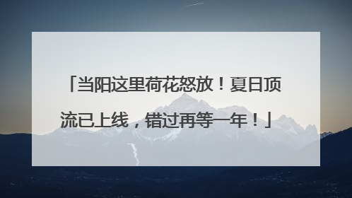当阳这里荷花怒放！夏日顶流已上线，错过再等一年！