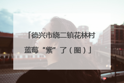 德兴市绕二镇花林村蓝莓“紫”了（图）