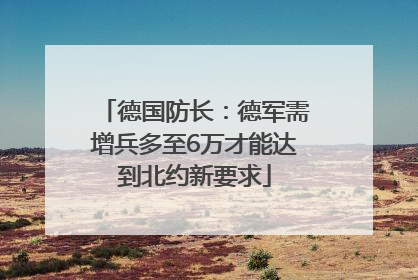 德国防长：德军需增兵多至6万才能达到北约新要求